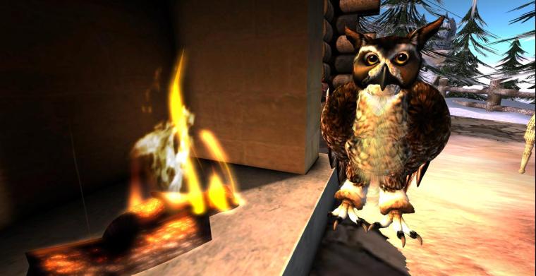 The owl warm by the fire 